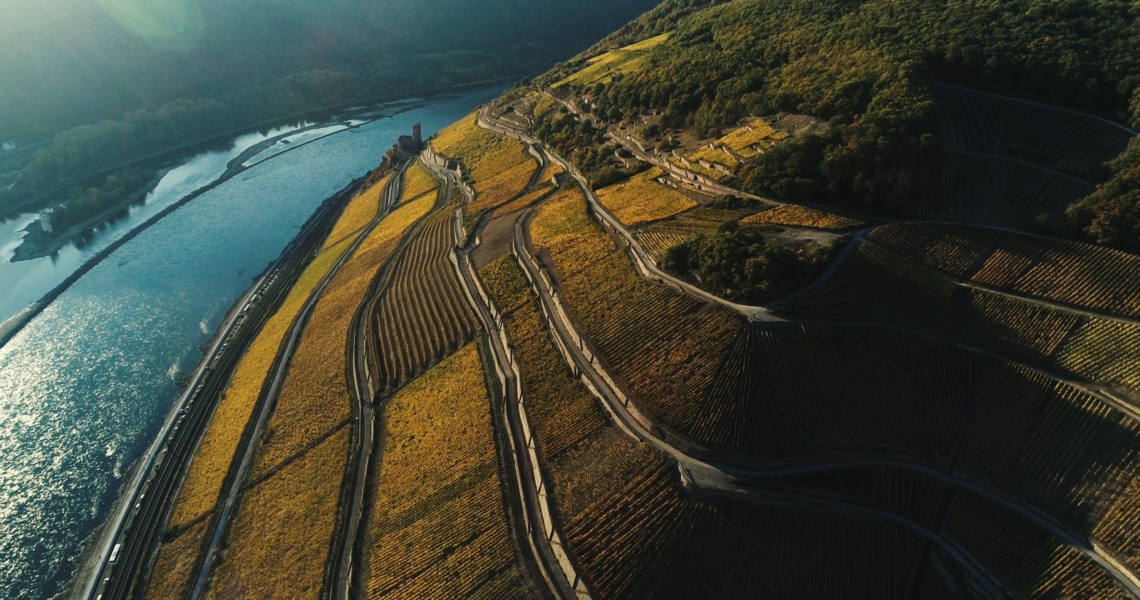 Weingut Leitz KG