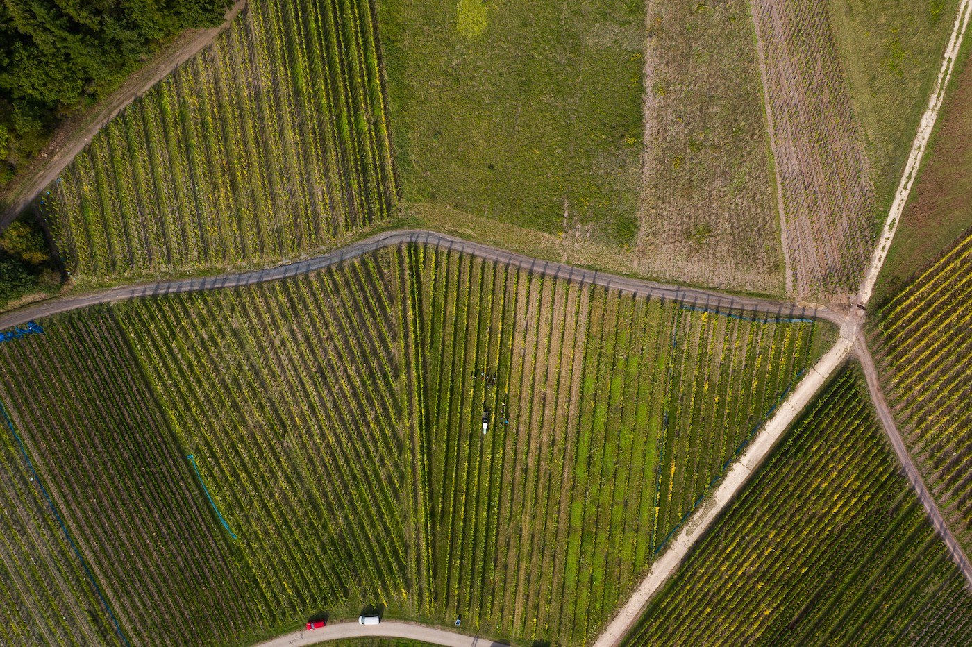 Weingut Stefan Müller