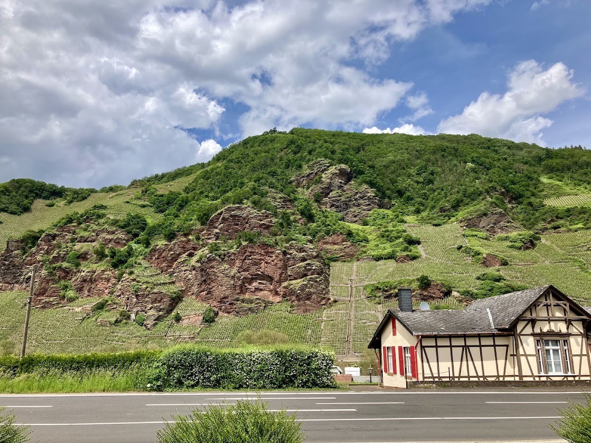 Weingut Dr. Hermann