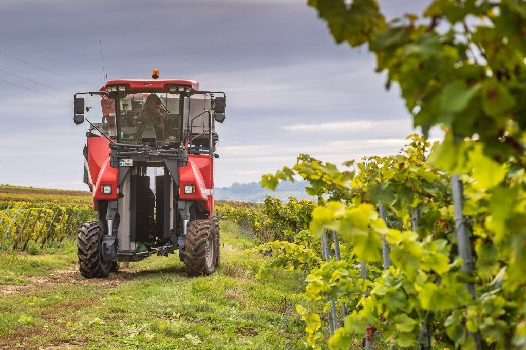 Weingut Schuck GbR