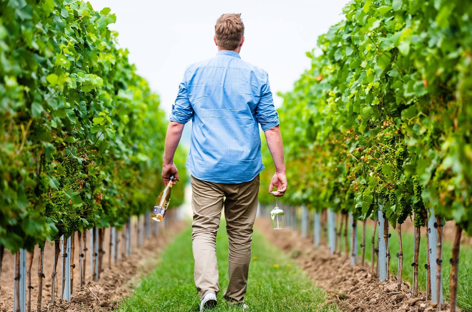 Weingut Landua Inh. Alexander Kurtz