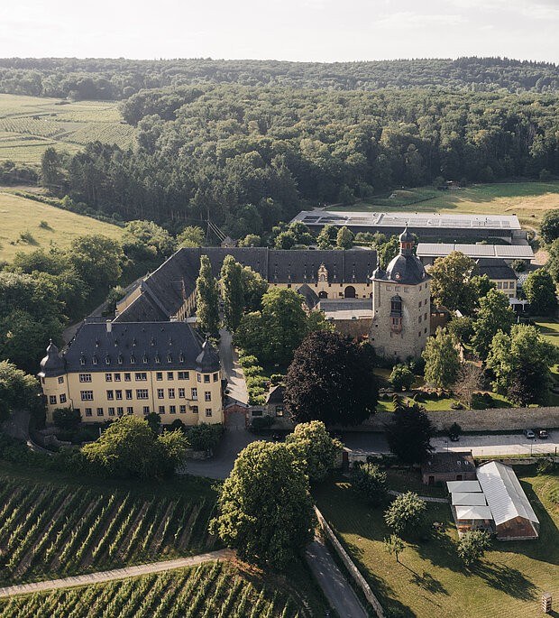 Weingutsverwaltung Schloss Vollrads