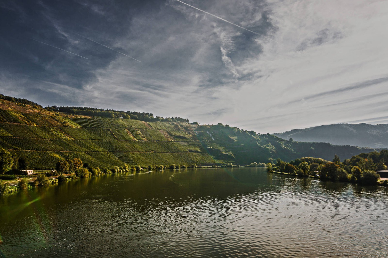 Weingut Lenhardt