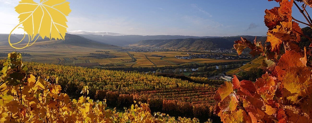 Weingut Winnebeck
