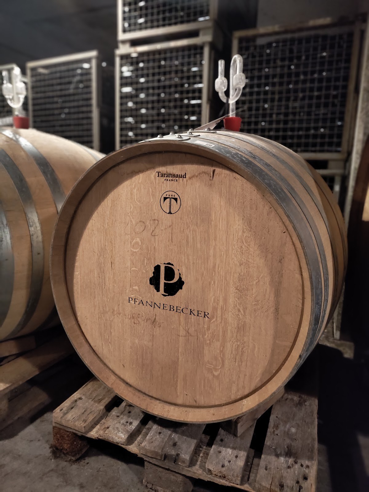 Weingut Pfannebecker GbR