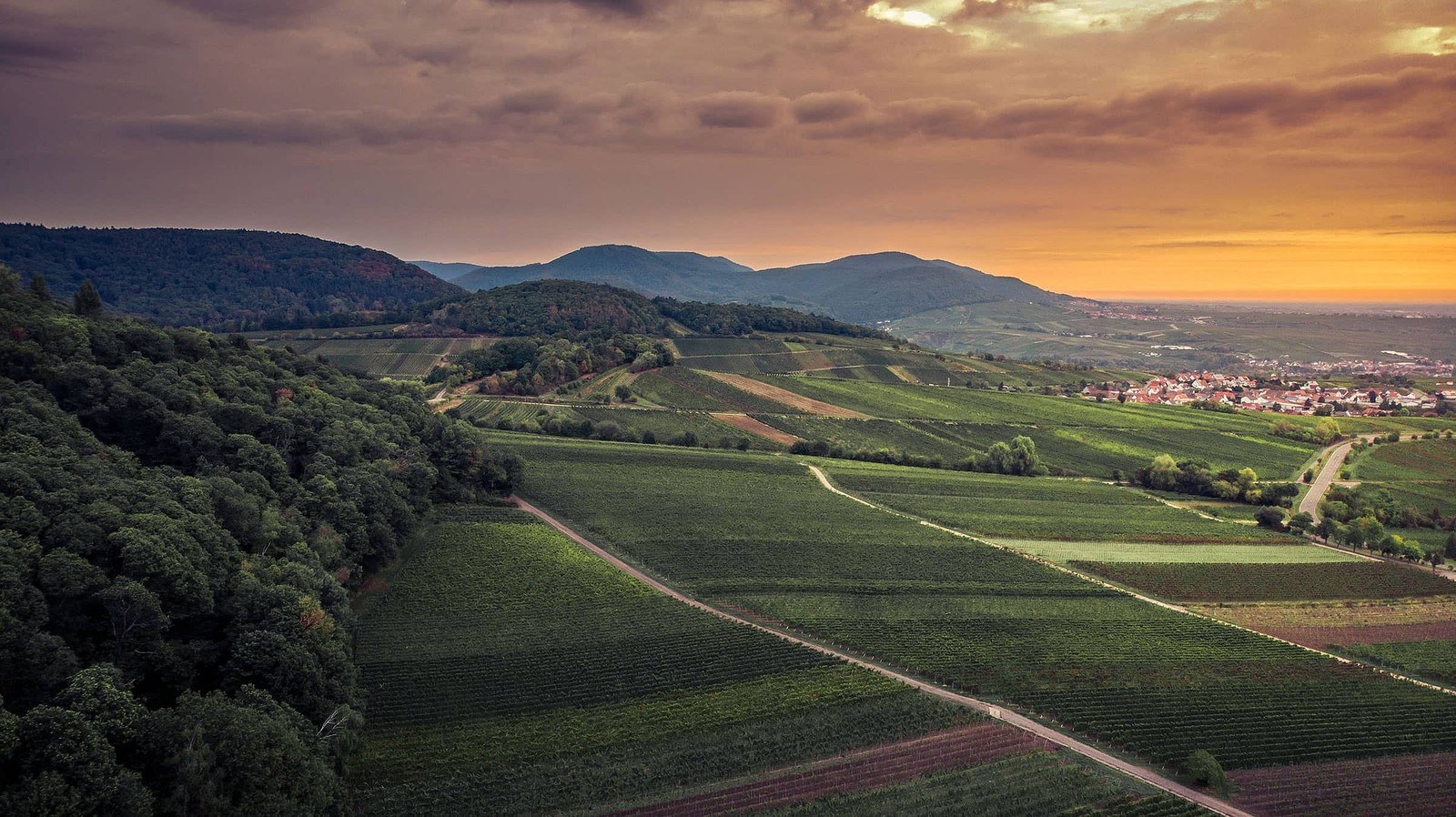 Weingut Löwenthal