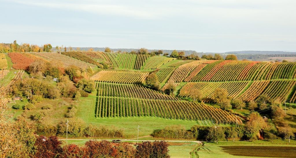 Weingut Plag