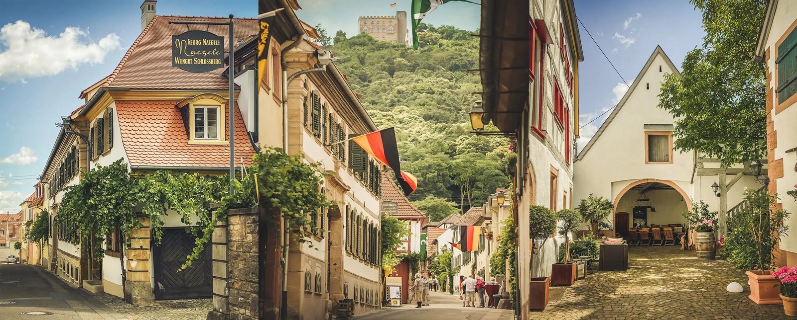 Weingut Georg Naegele