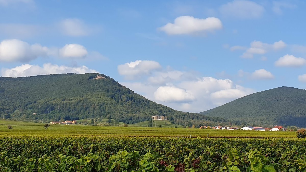 Weingut Erich Braun & Söhne GdbR