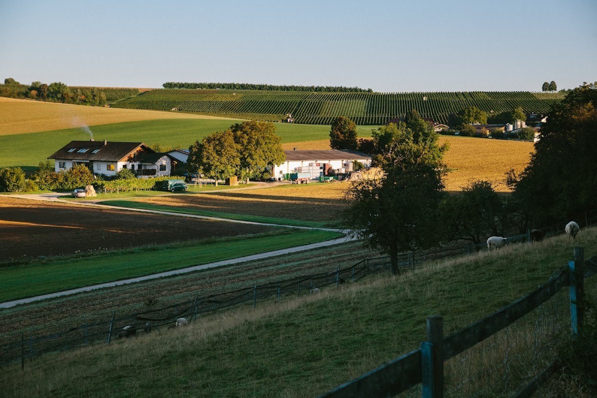 Golter - Weingut im Klee GbR
