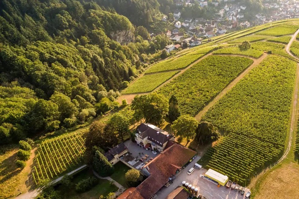 Weingut Nägelsförst