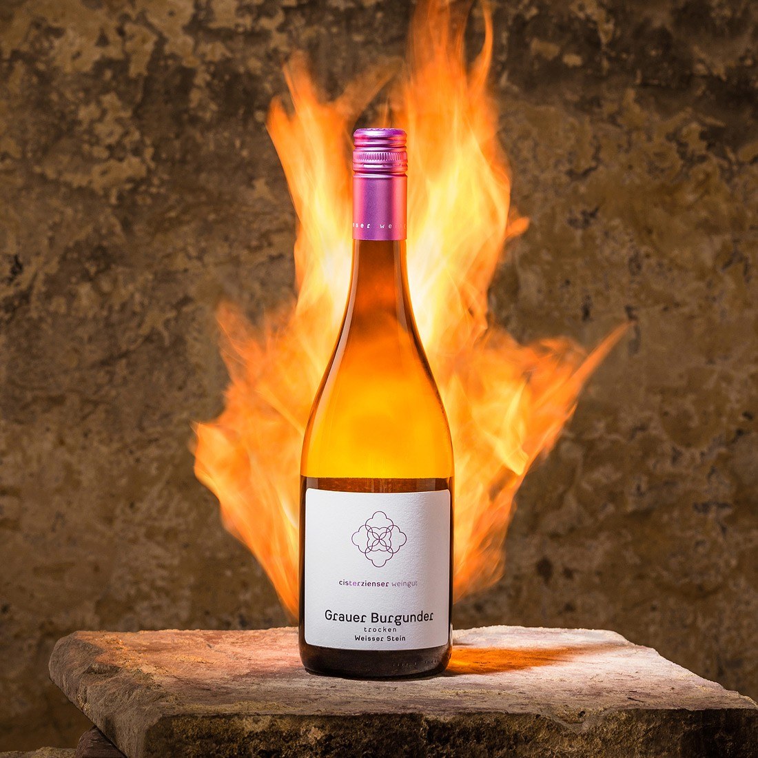 Cisterzienser Weingut Michel GbR