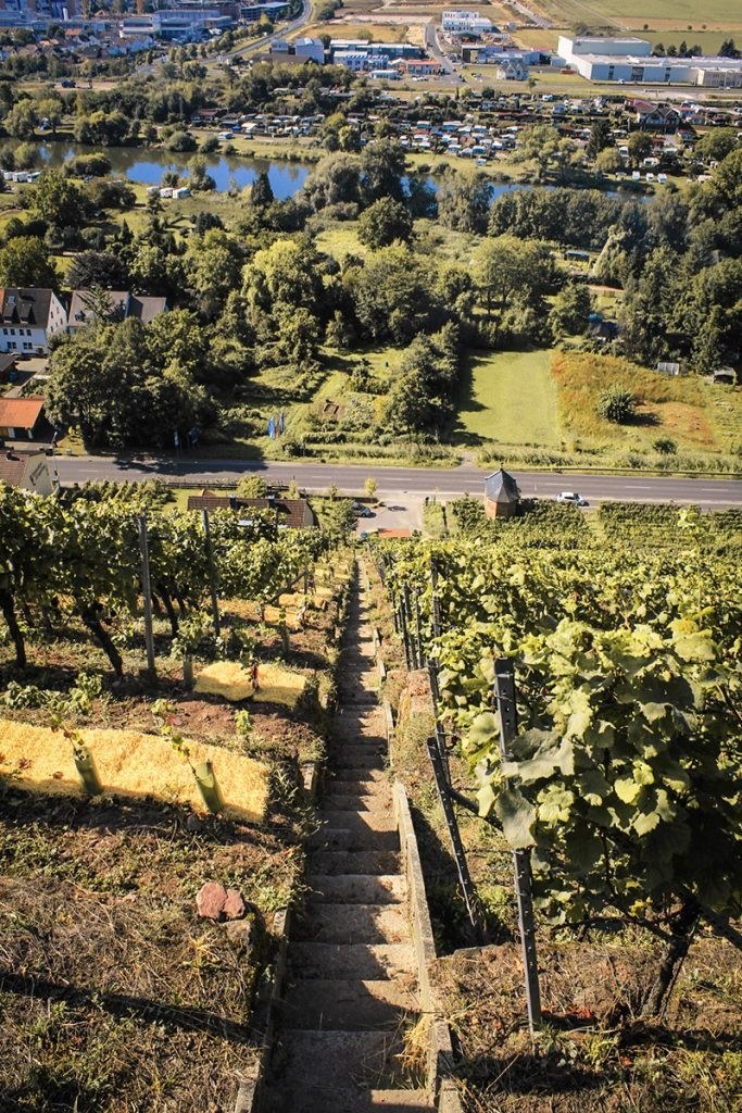 Weingut Steintal