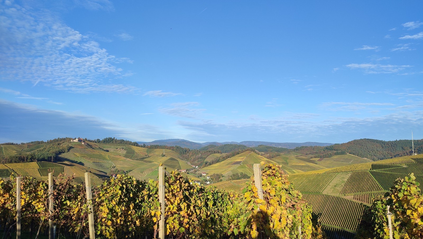 Weingut Schwörer