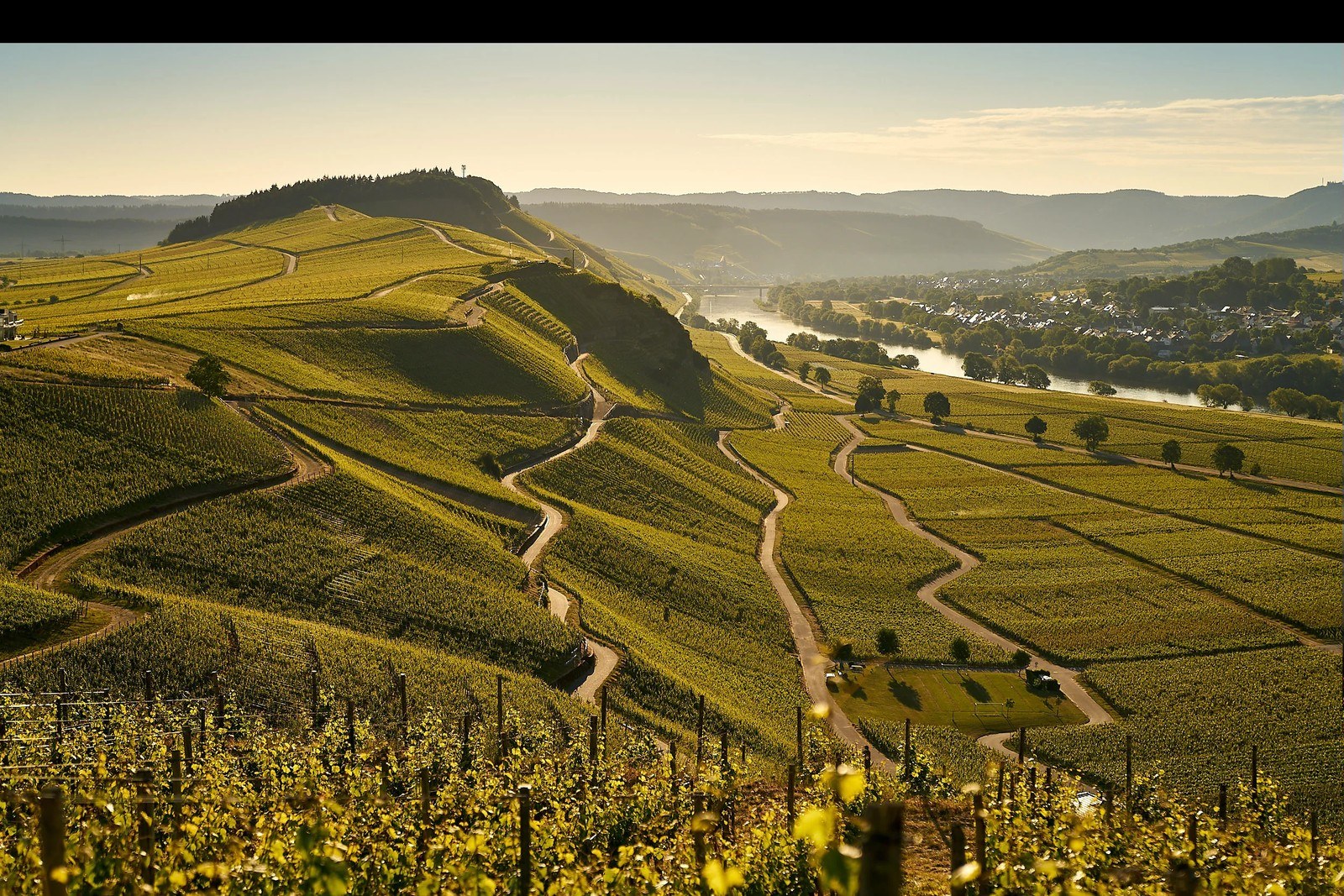 Weingut Jan Bollig