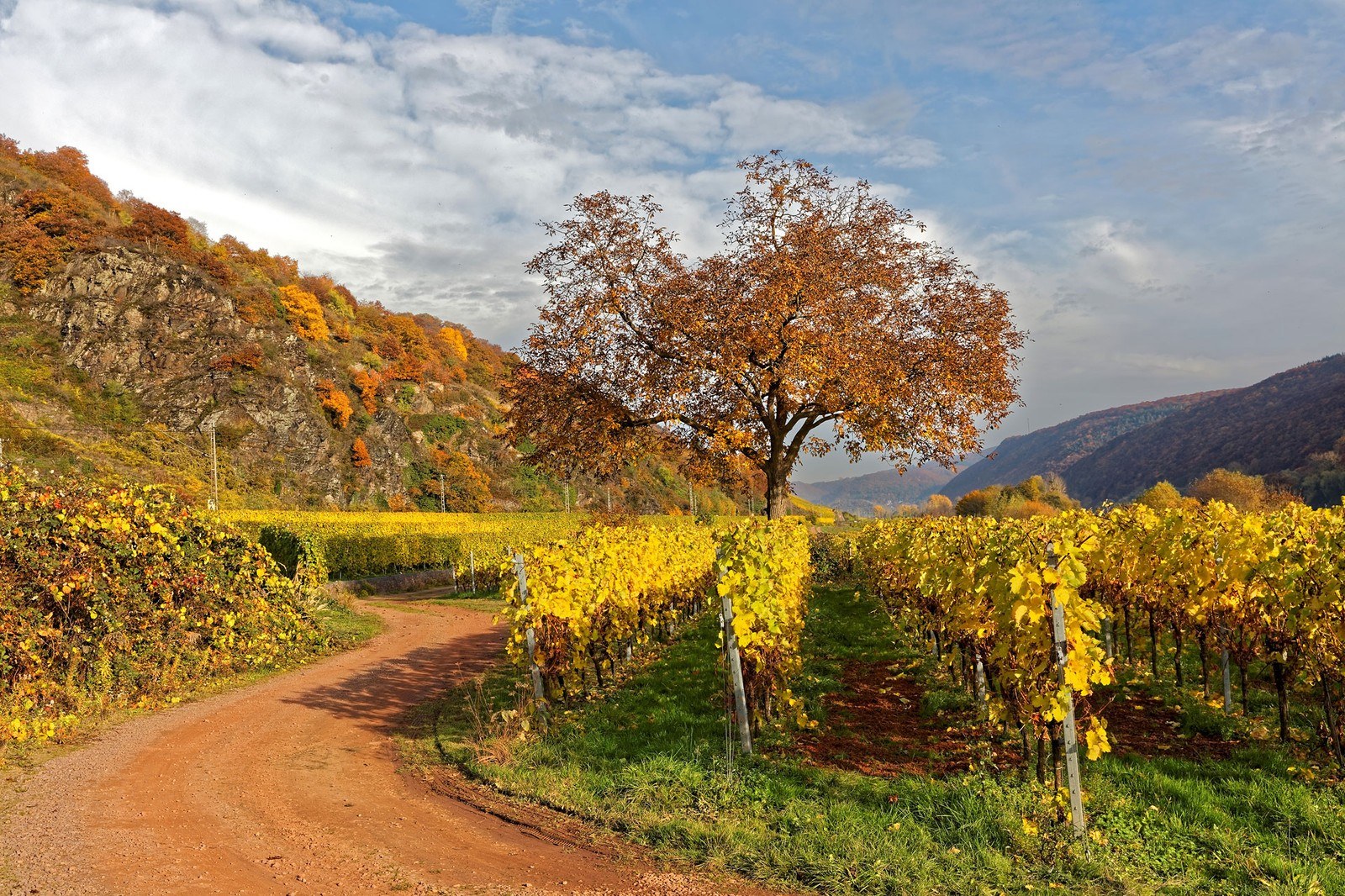 Weingut Blenz
