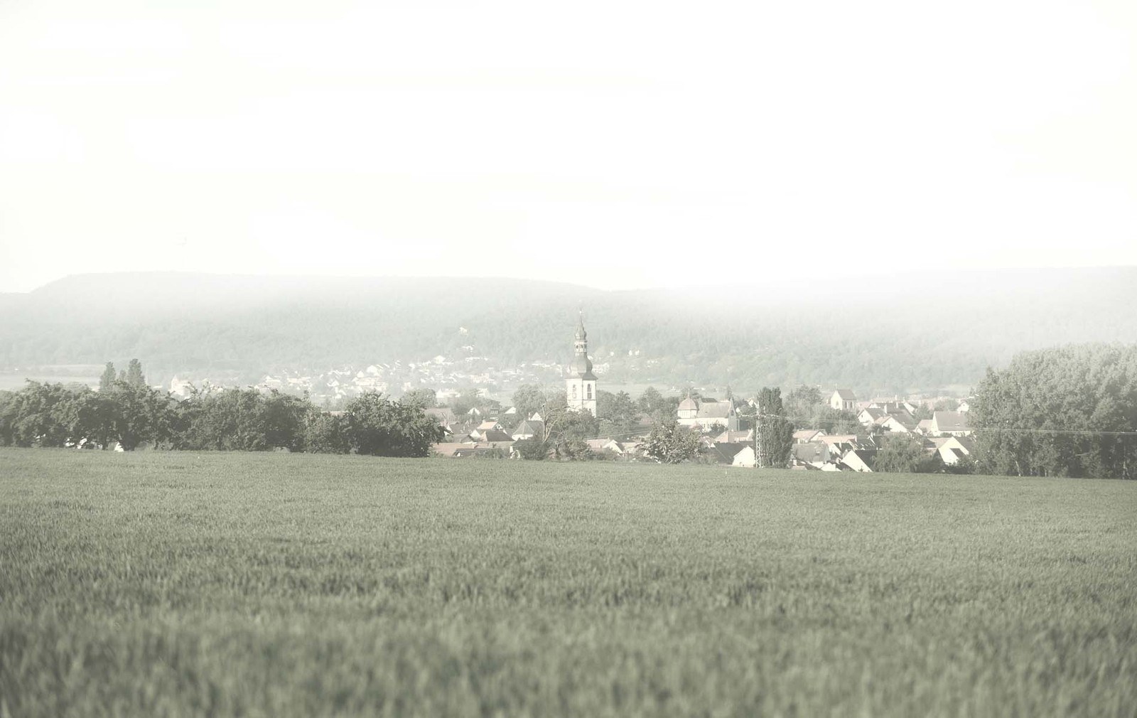 Weingut Paul Rogenwieser