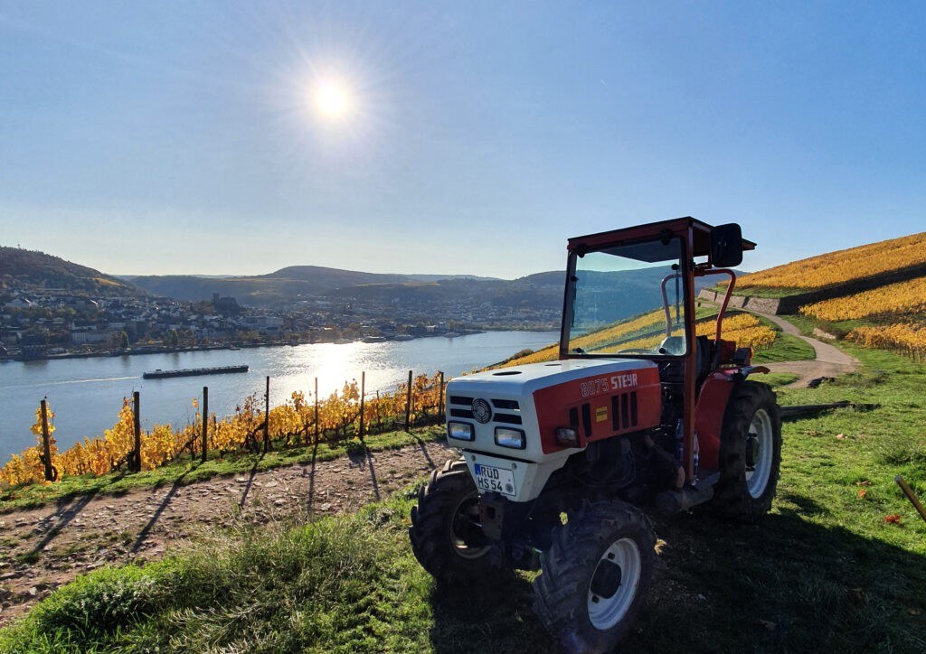 Weingut Heinz Störzel Inhaber Martin Störzel