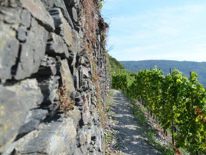 Weingut Reh