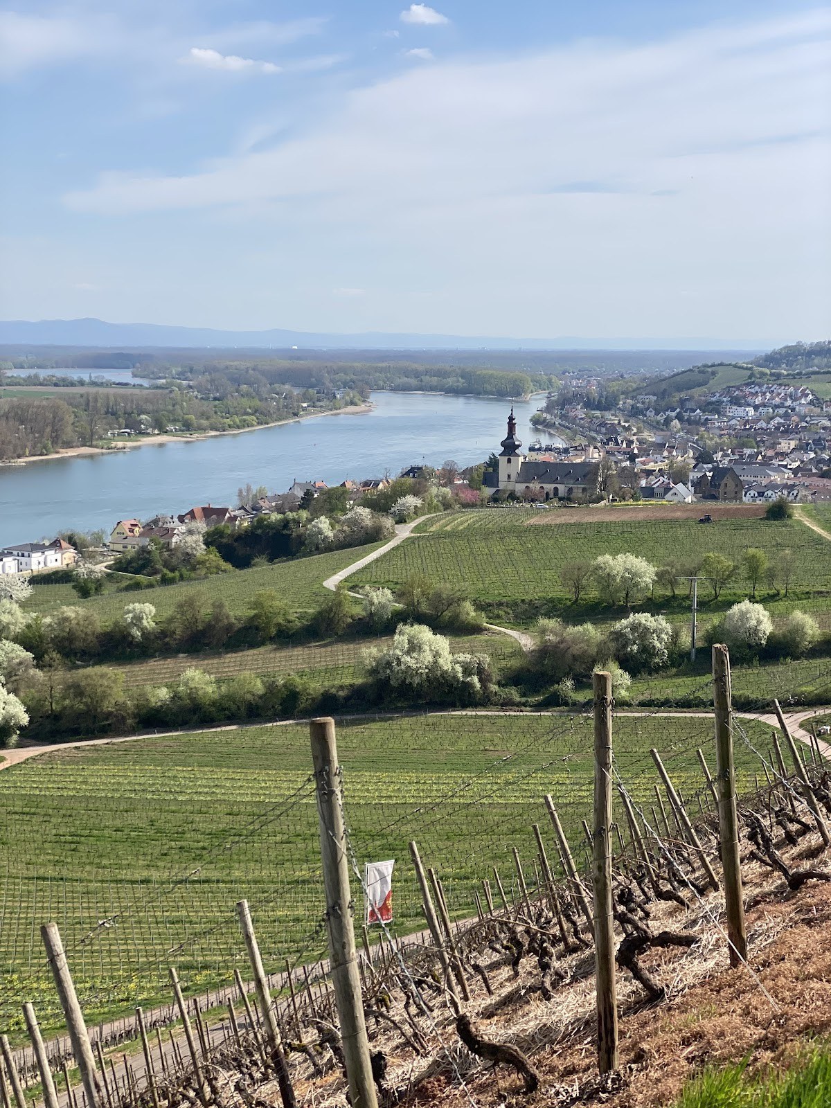 Weingut Andrea Mann