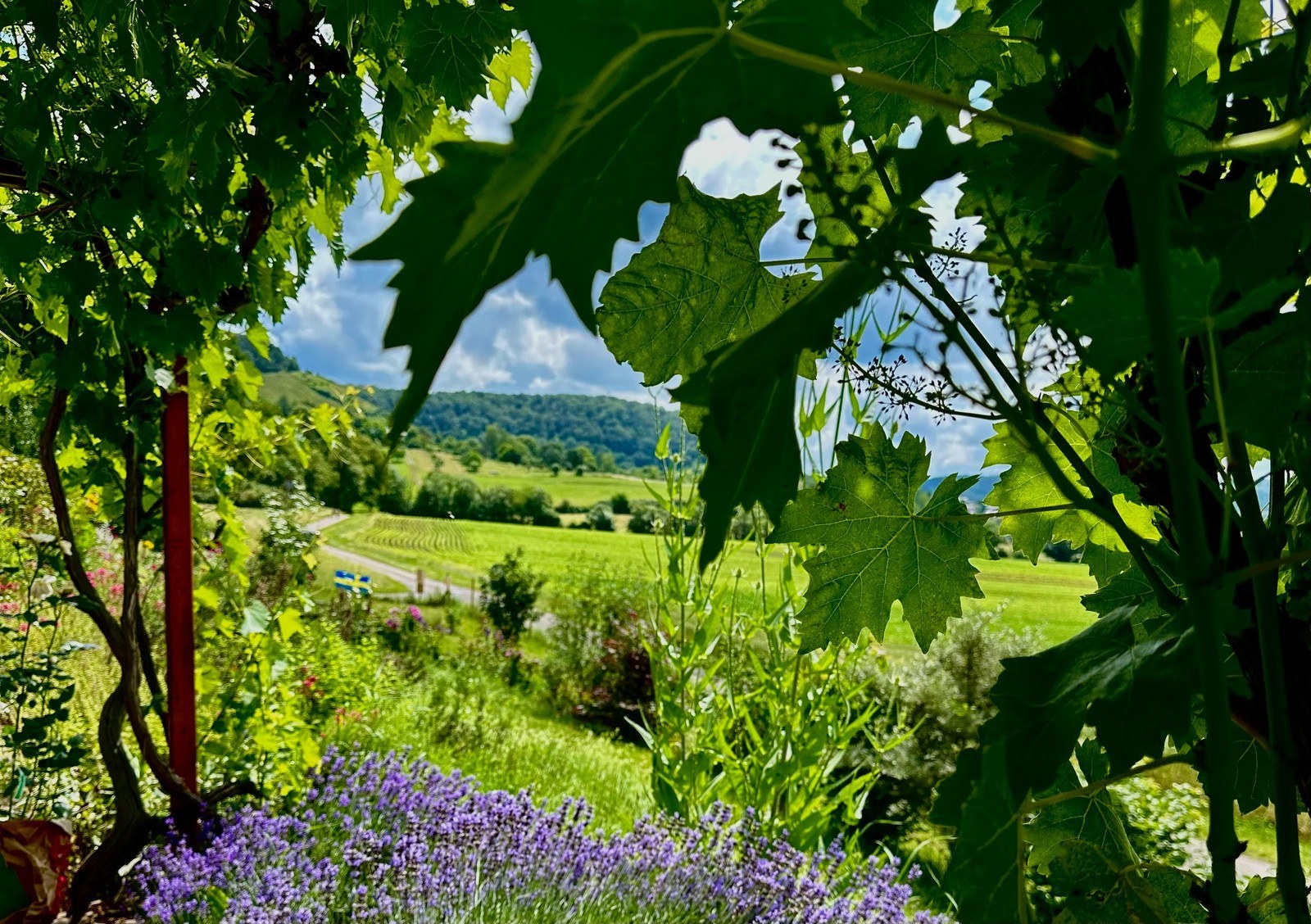 Klöckner & Larsson GbR (Der Meisenbachhof)