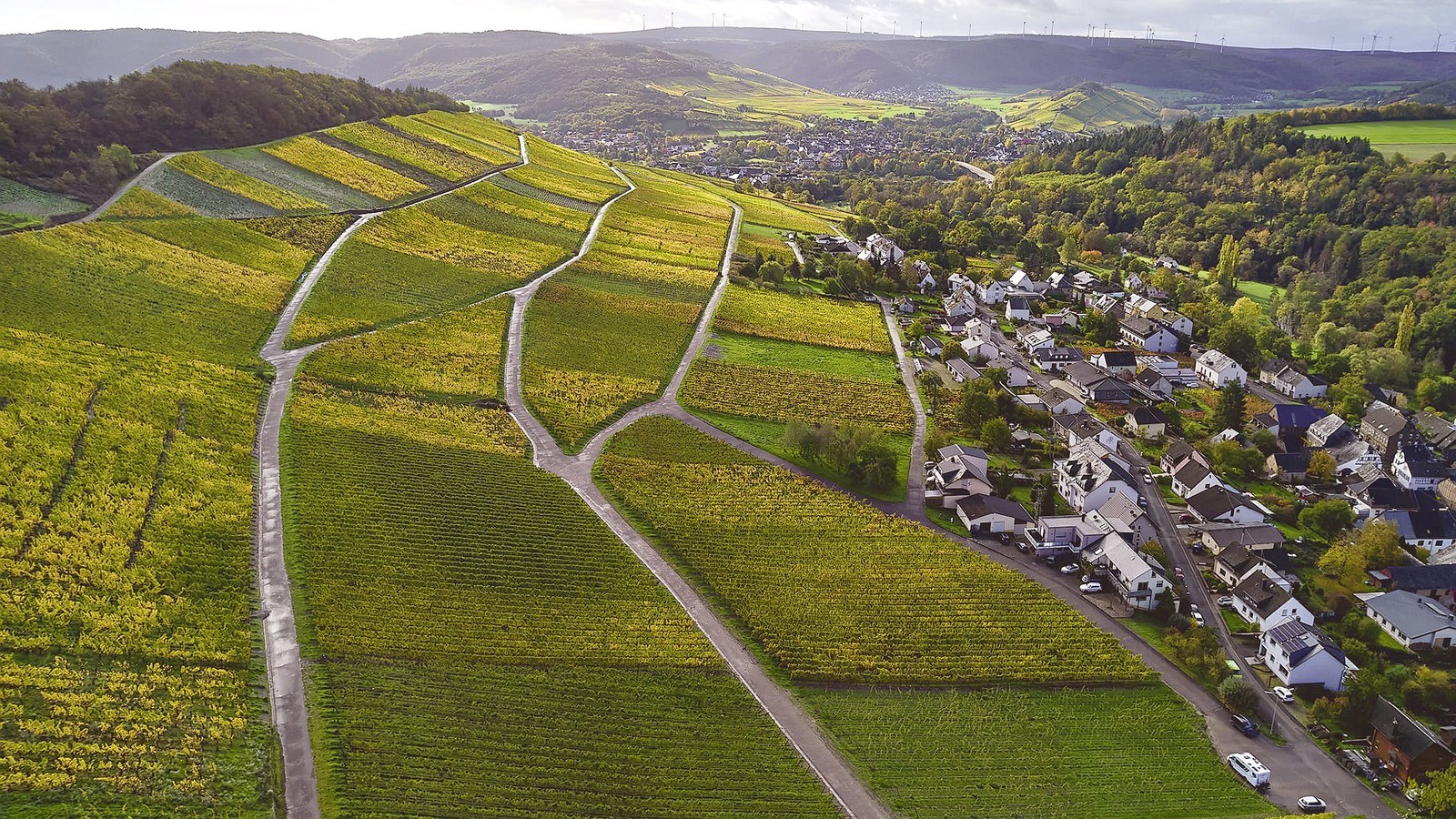 Weingut Rosenhof