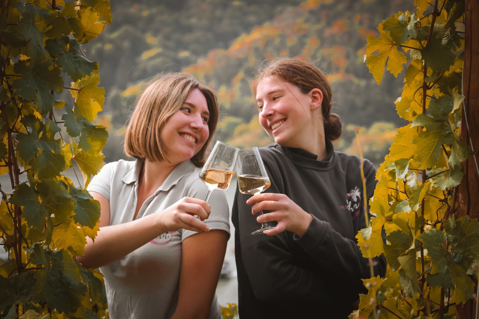 Weingut Persöhnlich