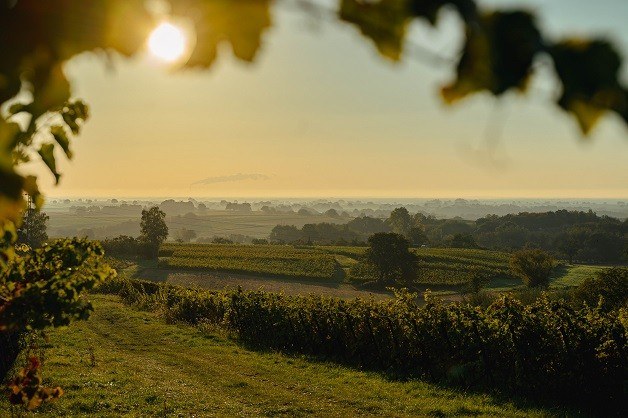 Psyk Keilbach Wein GmbH
