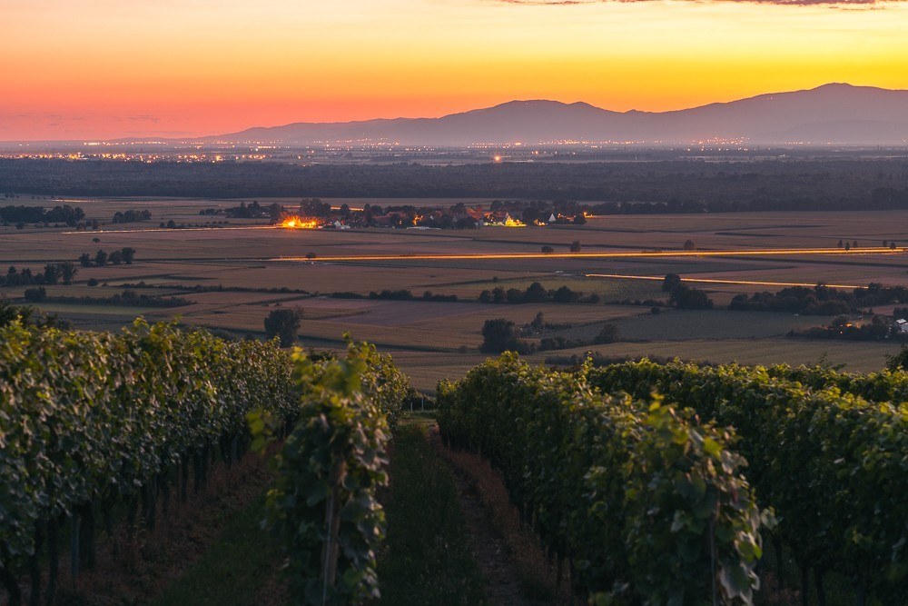 Weingut Philipp Lang