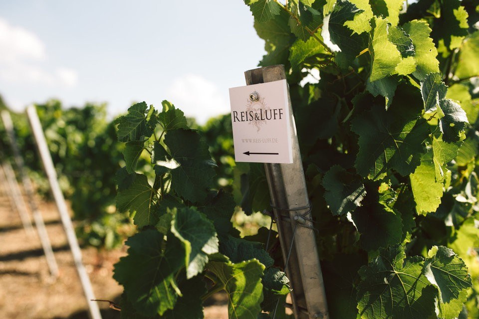 Weingut Reis & Luff