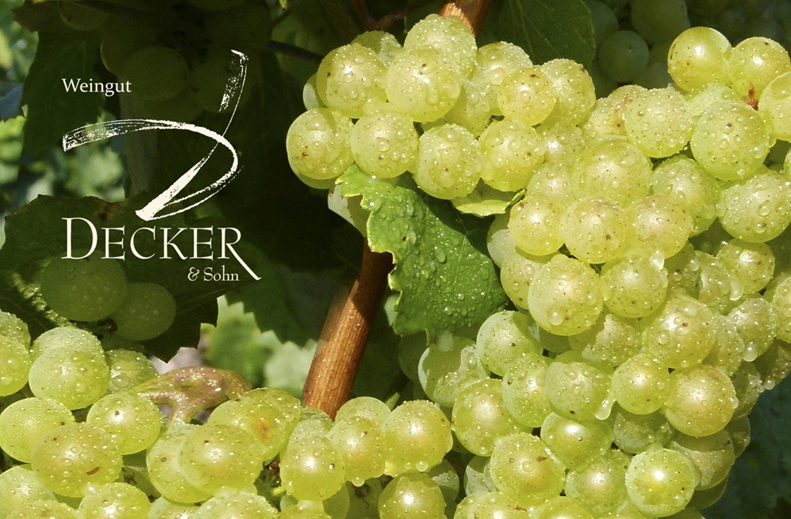 Weingut Decker & Sohn