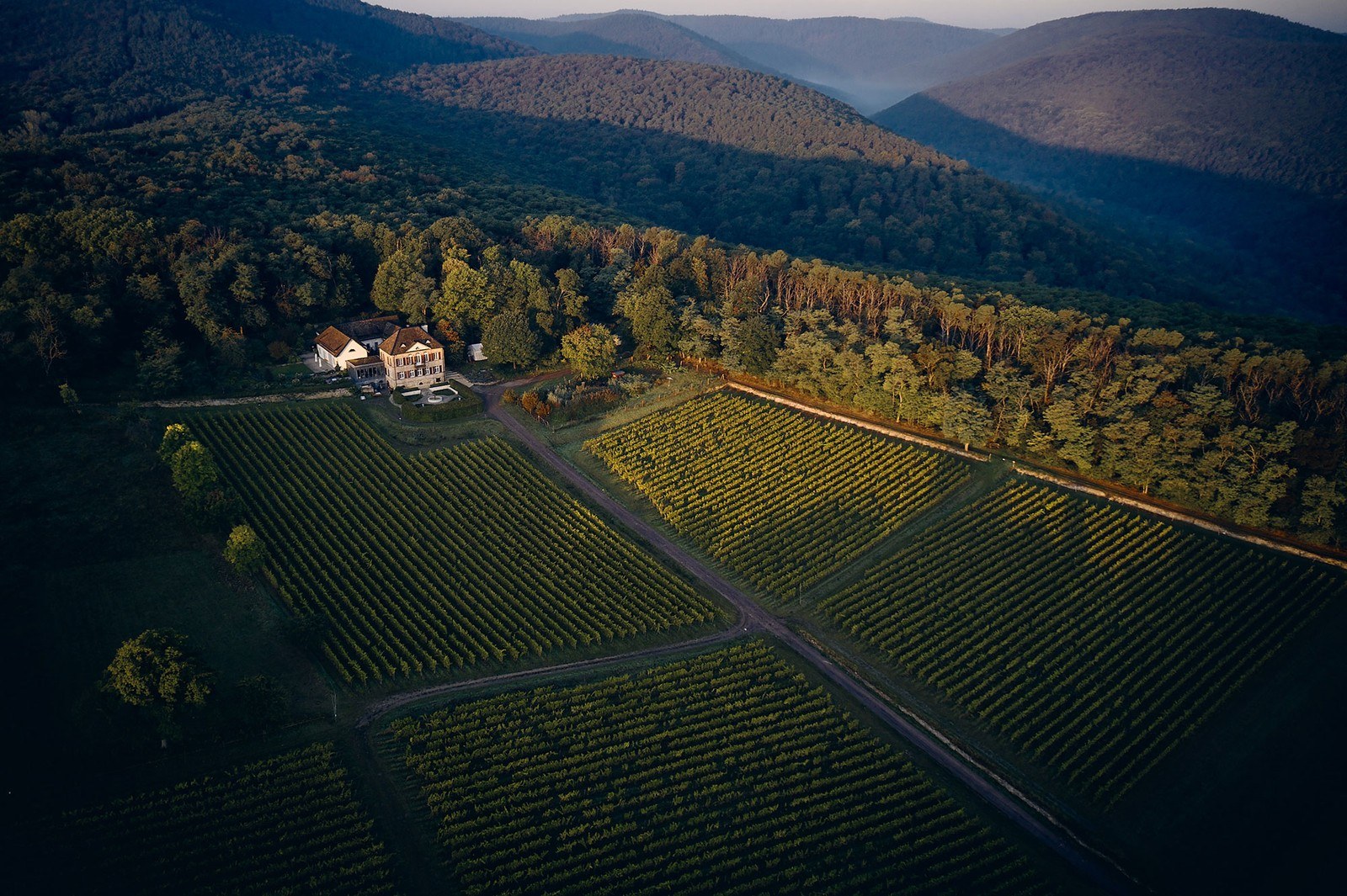 Weingut Odinstal