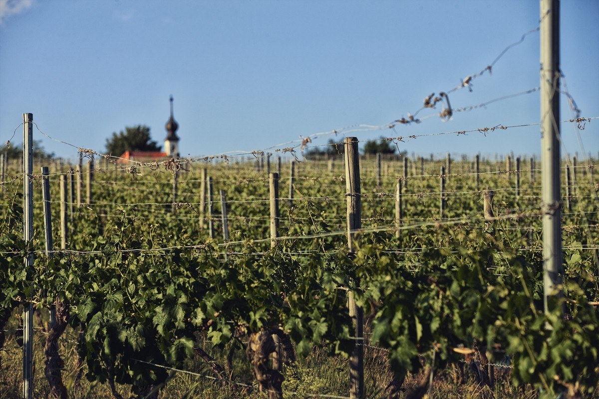 Weingut Seger