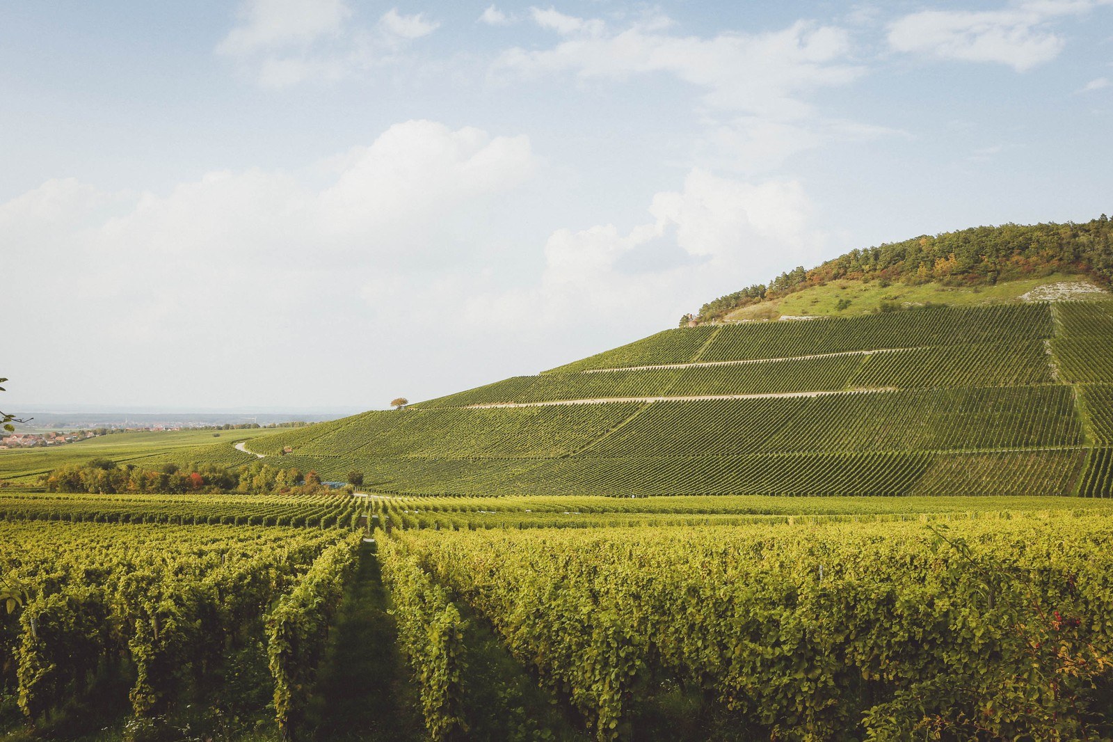 Weingut und Winzerhof Emmerich