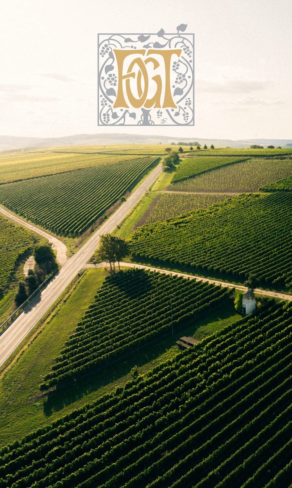 Weingut Georg Fogt