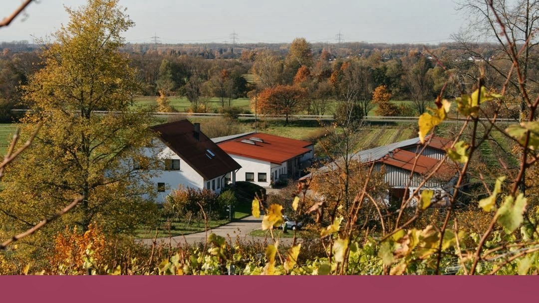 Weingut Fischer Erbengemeinschaft