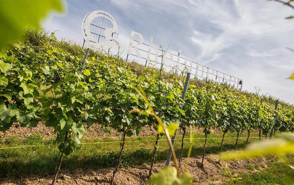 Weingut Residenz Bechtel