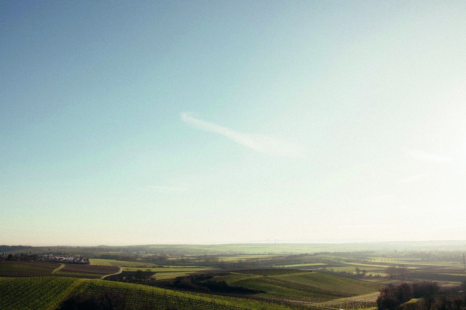Weingut Werther-Windisch
