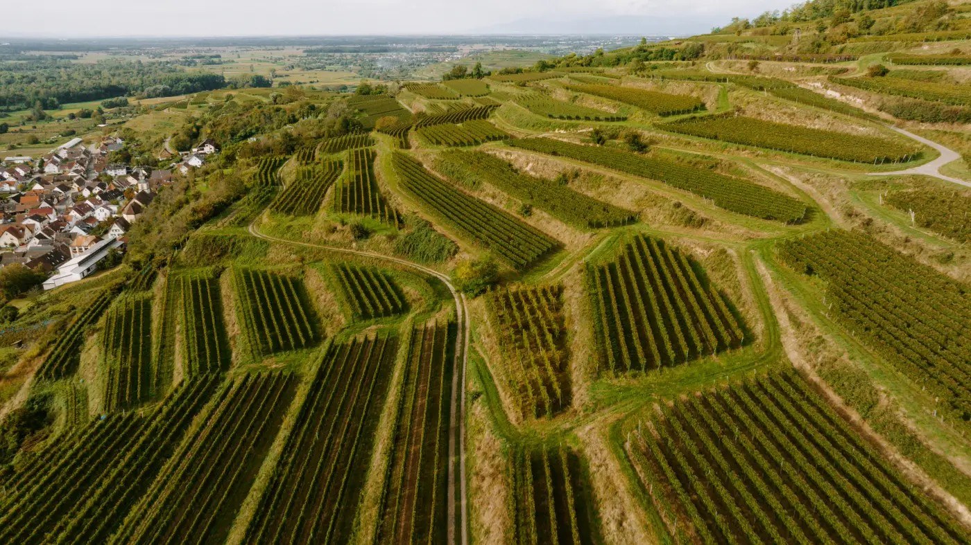 Weingut Peter Briem