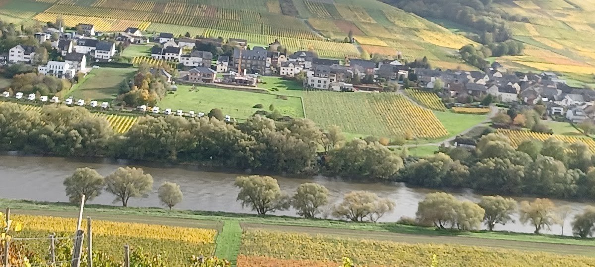 Weingut Ludger Veit
