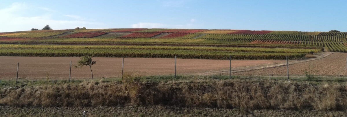 Weingut Welker-Emmerich