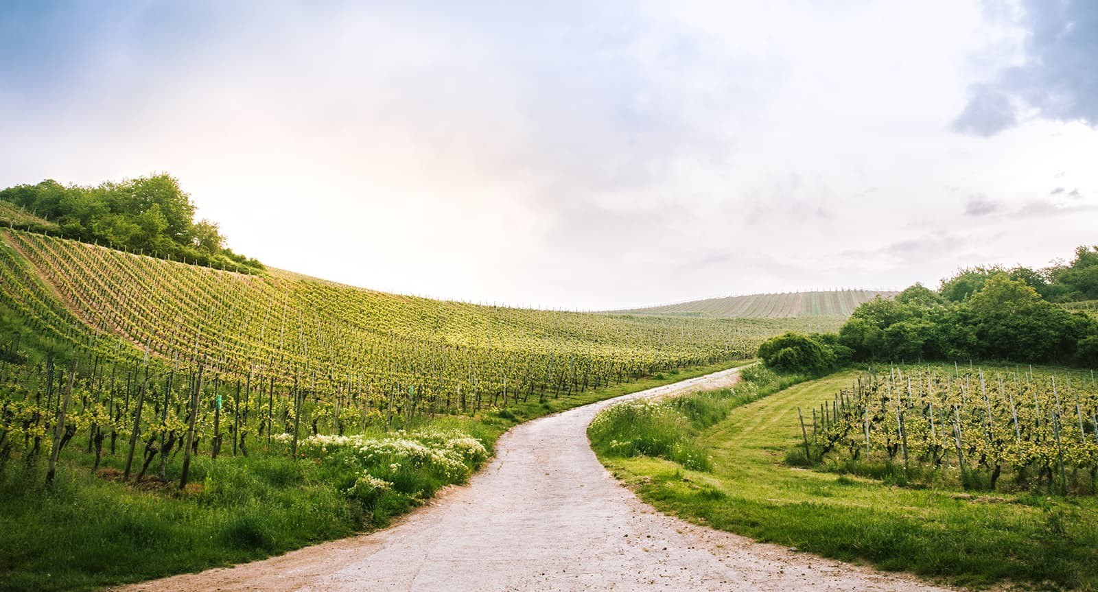 Pieroth Wein GmbH