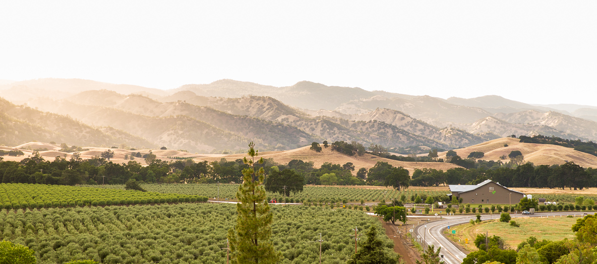 YOCHA DEHE VINEYARDS