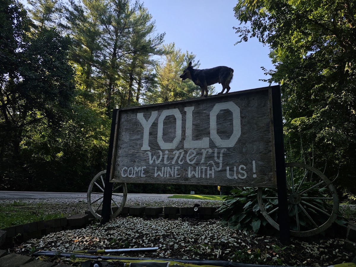 Yolo Winery LLC