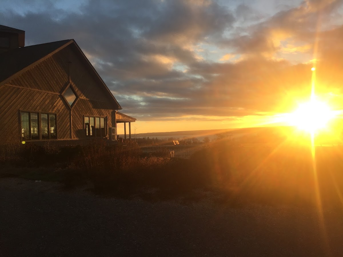 Zugibe Vineyards