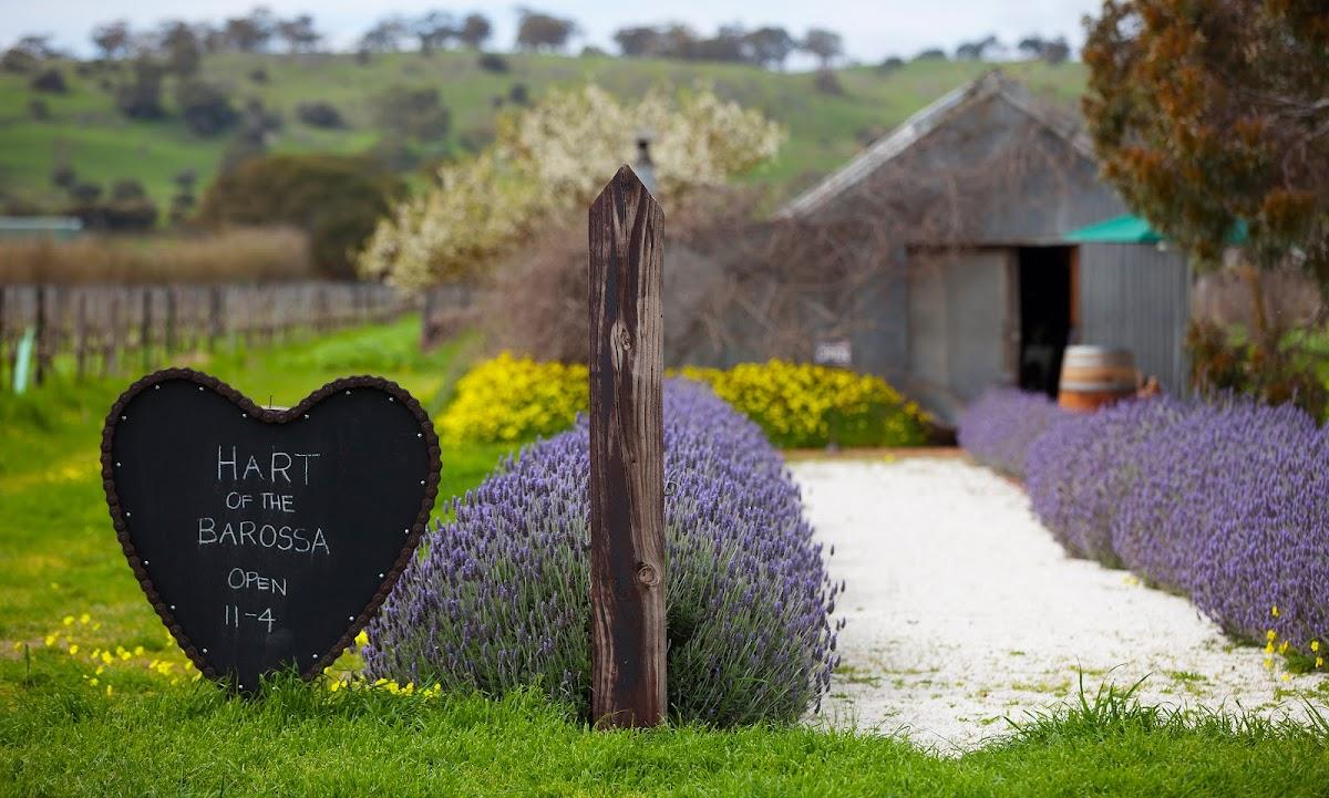 Hart of the Barossa