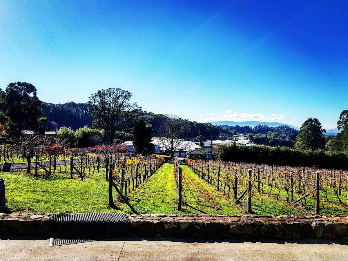 Six Acres Wines