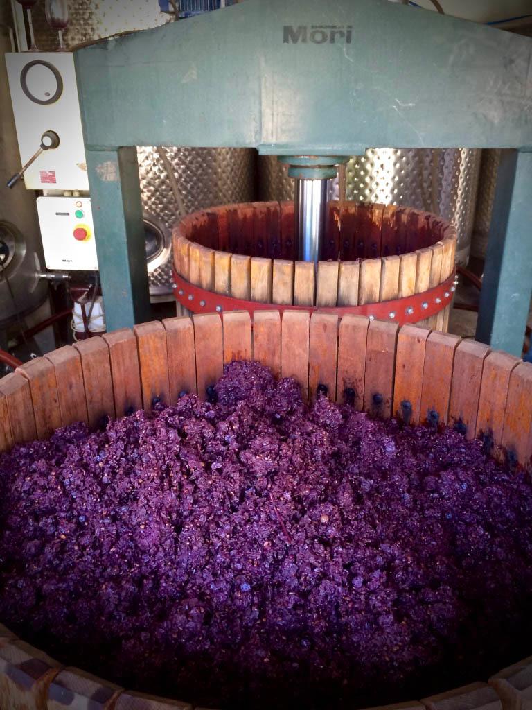 Aoton Winery