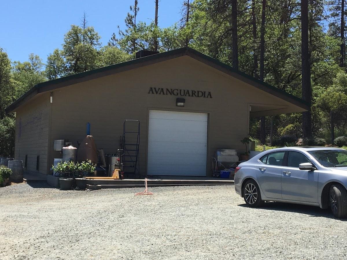 AVANGUARDIA WINES