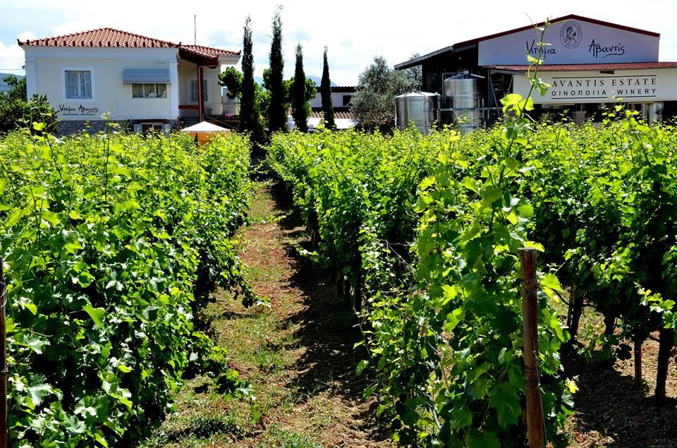Avantis Estate